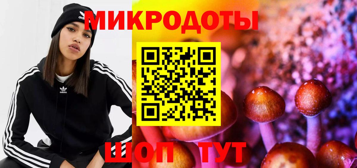 Новоалександровск  Псилоцибиновые грибы Psilocybe  Вход с VPN 